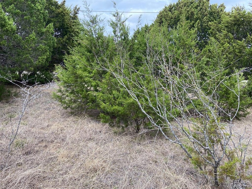 4082 Mesquite Dr, Whitney, TX 76692 - photo 1