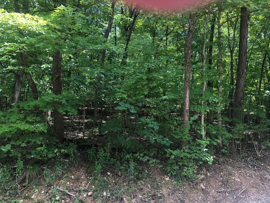 0lot 6 E Anding Dr, Calvey Township, MO 63015 - photo 1