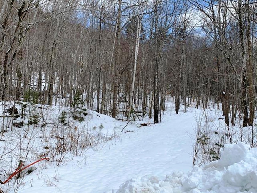 Lot 10 Tamarack Trail, Camden, ME 04843 - photo 1
