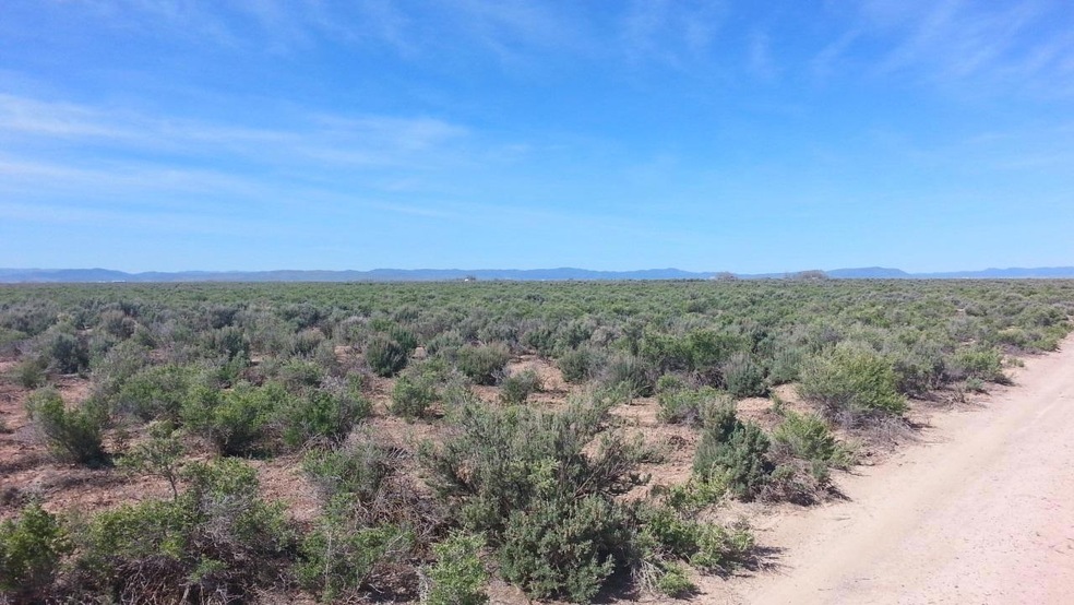 40 Acres, 1 AFW