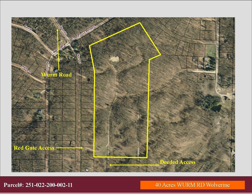 WURM RD WOLVERINE 40 acres map