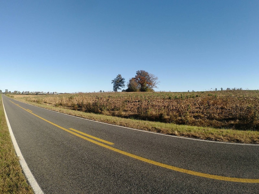 TBD Concord Church Rd, Ellerbe, NC 28338 - photo 1