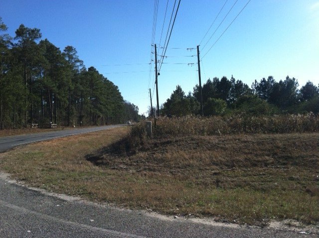 401 S County Line Rd, Albany, GA 31701 - photo 1