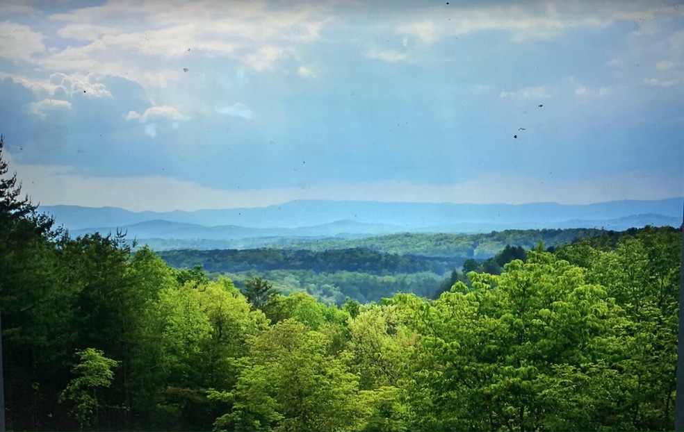 662 Blue Ridge Trails, Morganton, GA 30560 - photo 1