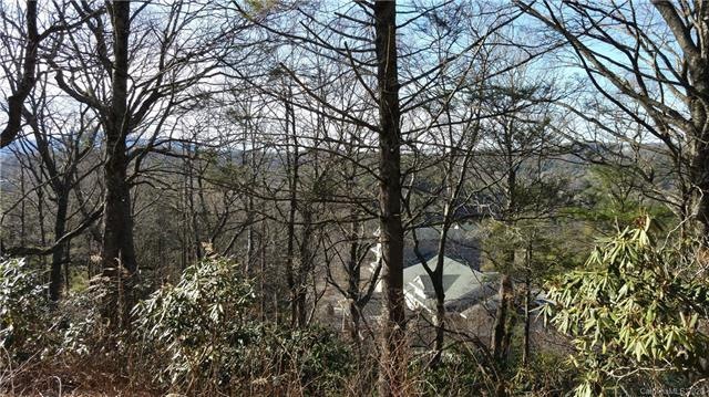 Picture taken from street frontage of lot.