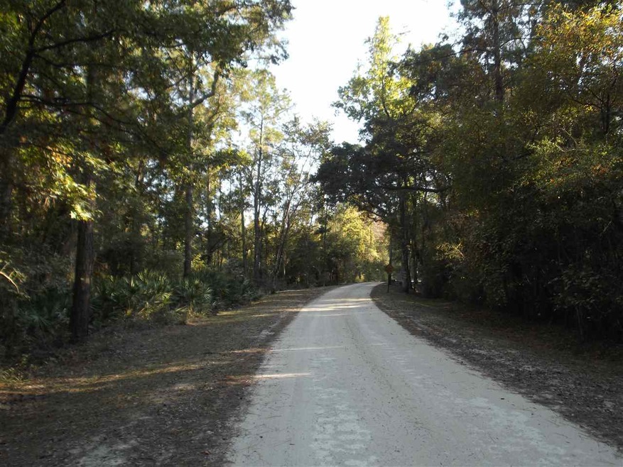 xx Roland Harvey Rd, Crawfordville, FL 32327 - photo 1