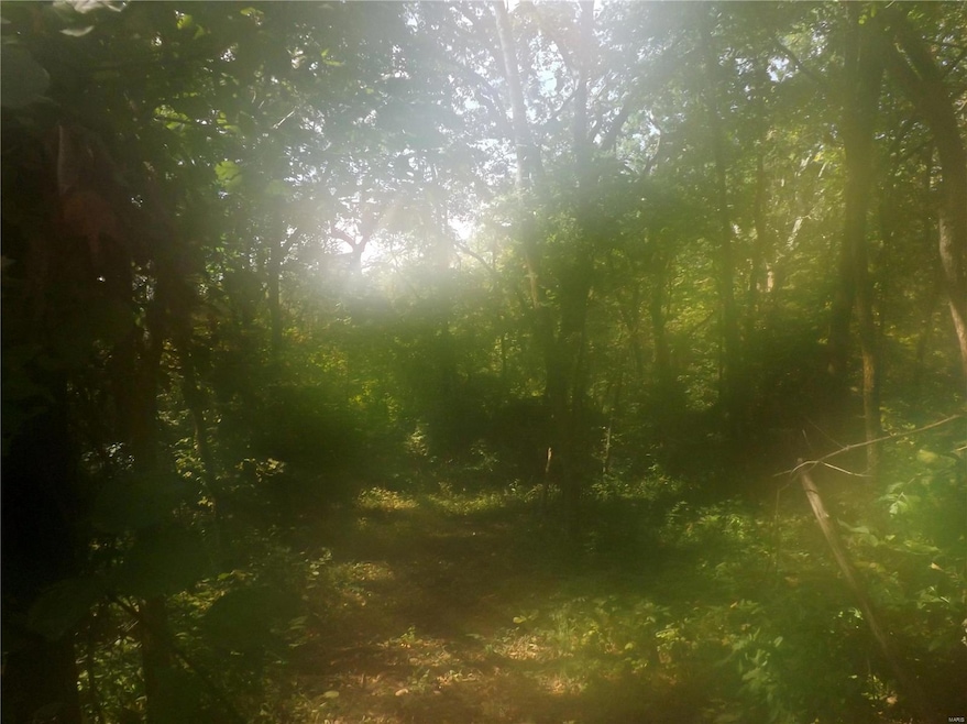 1204 S Clinton Rd, Caseyville, IL 62232 - photo 1