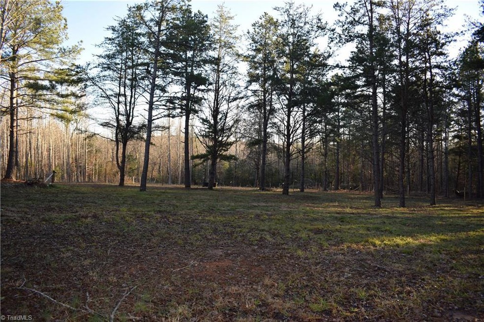 114 Center Methodist Church Rd, Troy, NC 27371 - photo 1