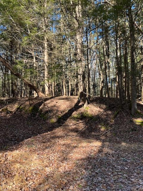 198 W Starlight Dr, Smallwood, NY 12778 - photo 1