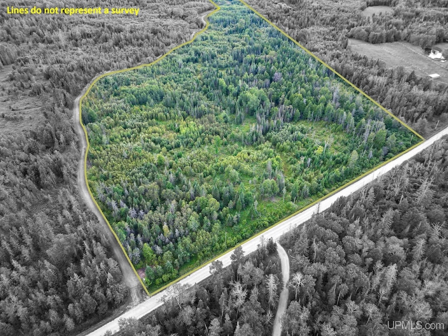 TBD Triple Creek Rd, Cornell, MI 49818 - photo 1