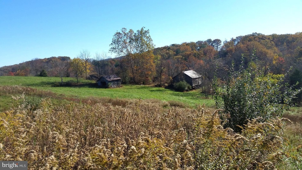 687 Scrabble Rd, Castleton, VA 22716 - photo 1