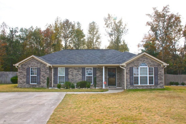 Main View