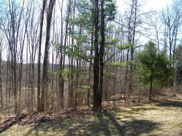 Other. 5.5 acres, perfect building lot, with a bea