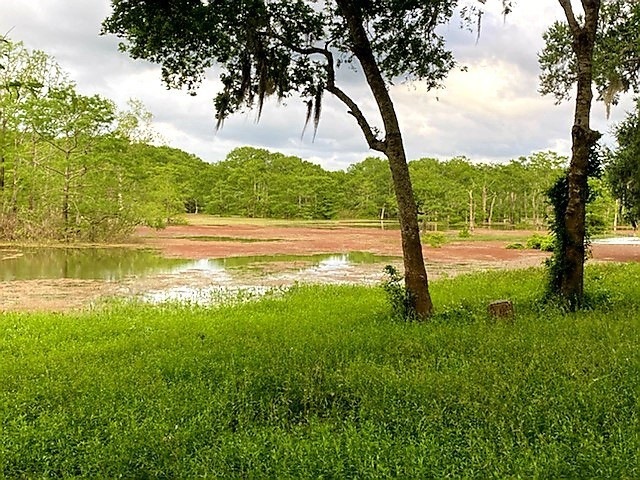 10409 Fm 1409 East Side, Dayton, TX 77535 - photo 1