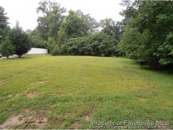 314 Murray Hill, Fayetteville, NC 28303 - photo 1