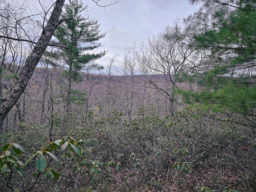 view from building site