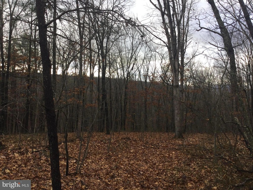 Unknown Owl Ln, Gore, VA 22637 - photo 1