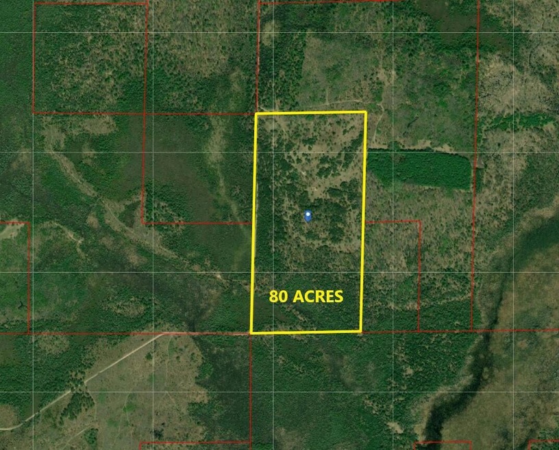 80 Acres N Everett Rd
