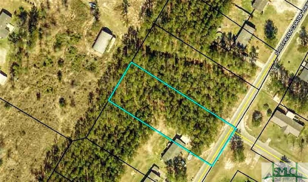 224 Southern Charm Way, Guyton, GA 31312 - photo 1