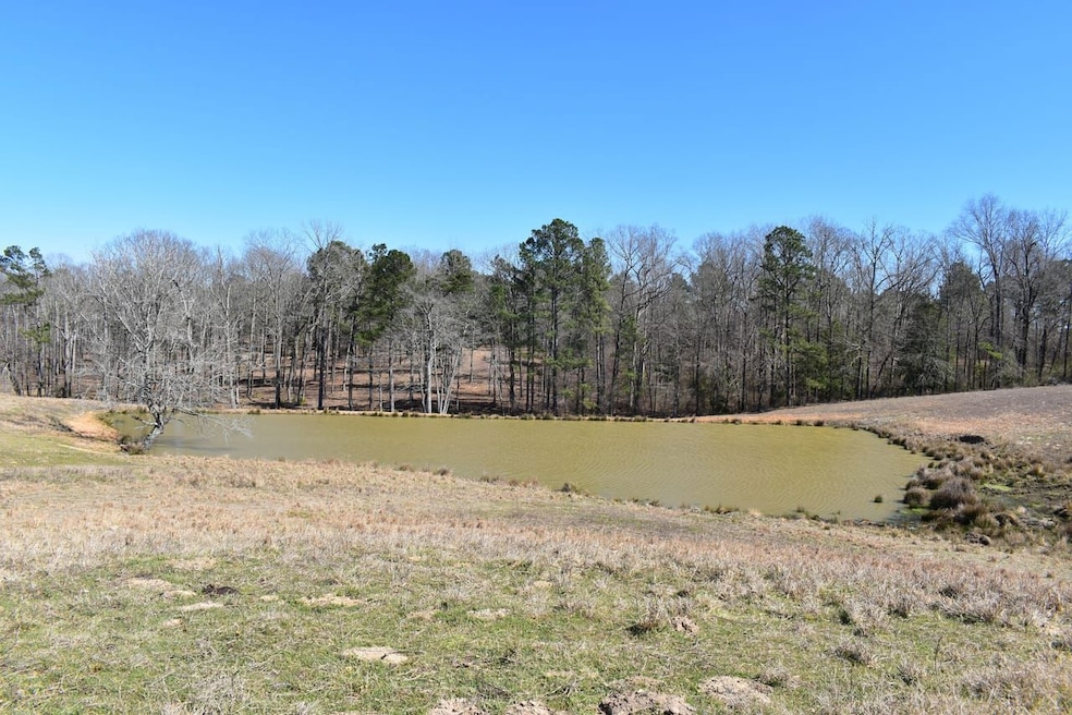 Thompson Farm Rd, Mabelvale, AR 72013 - photo 1