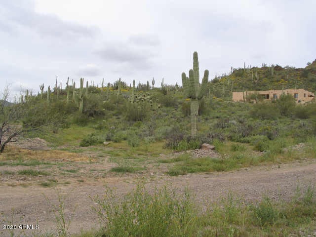 pic1