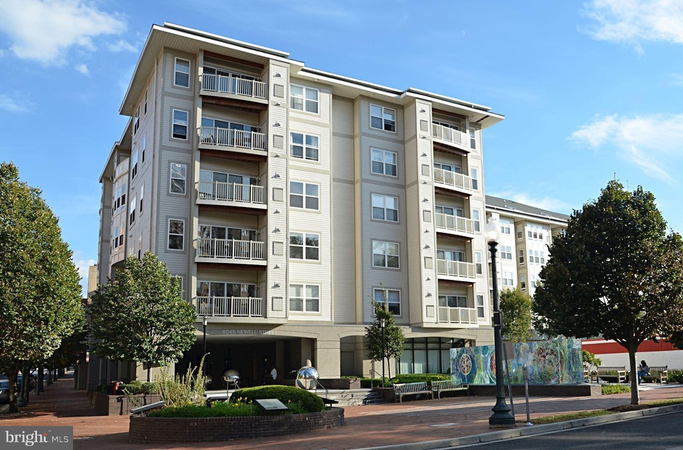8045 Newell St unit 103, Silver Spring, MD 20910 - photo 1