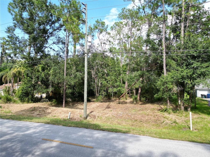 6760 Quail Hollow Blvd, Wesley Chapel, FL 33544 - photo 1