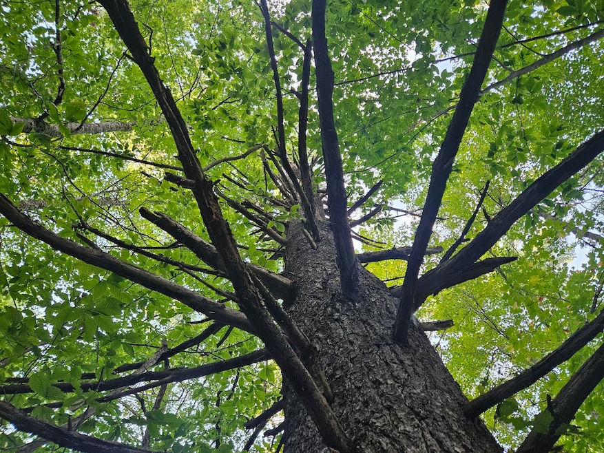 708 Webbs Mills Rd, Raymond, ME 04071 - photo 1