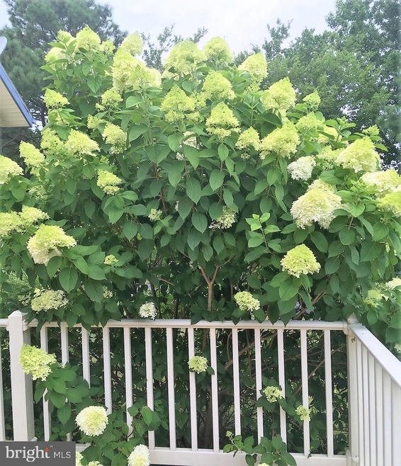 24 Cromwell Dr, Ocean View, DE 19970 - photo 1