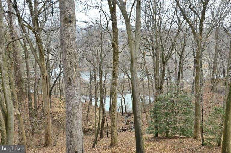 1316 Skipwith Rd, McLean, VA 22101 - photo 1