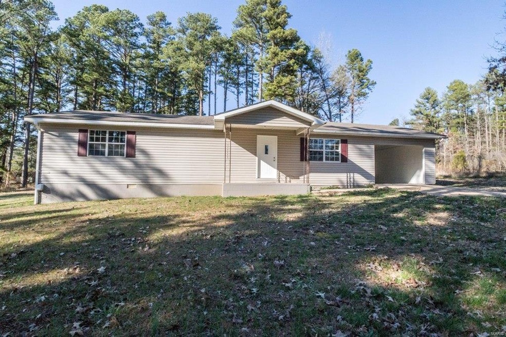 566 County Road 422, Poplar Bluff, MO 63901 - photo 1