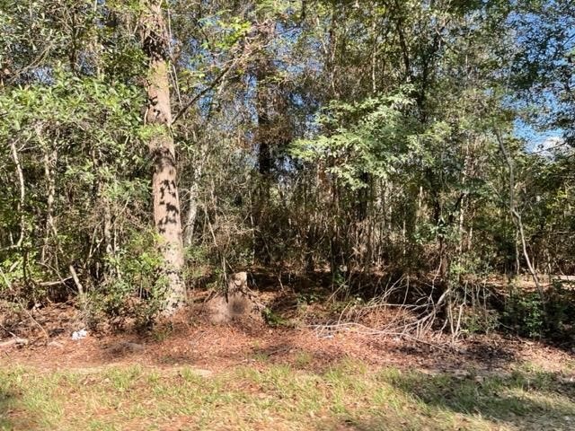 Sold • Co-Listing Agent