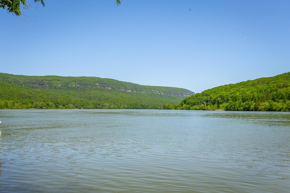 12524 Mullins Cove Rd. HD-45