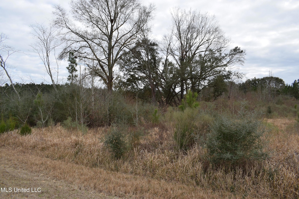 6.50+/- Ac Highway 63 S, Lucedale, MS 39452 - photo 1