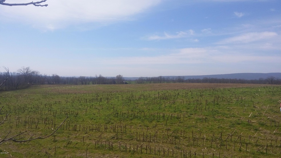 00 State Route 54 unit LOT 2, Watsontown, PA 17777 - photo 1