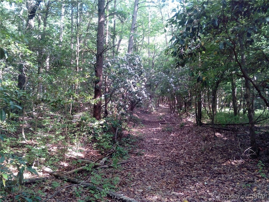 View of tree filled area