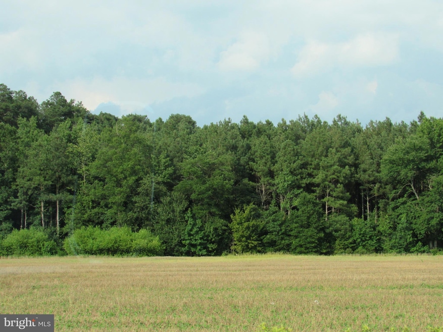 0 Old Stage Rd, Laurel, DE 19956 - photo 1