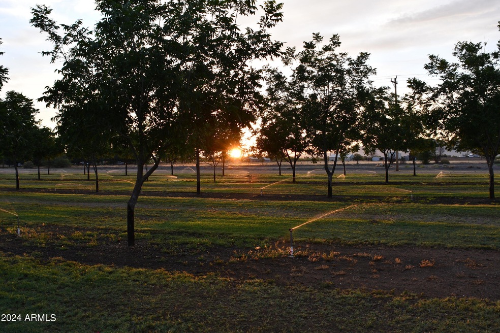DSC_6402