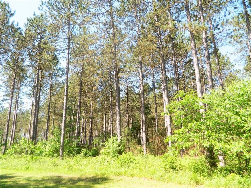 0 Old 35 unit 1508959, Siren, WI 54872 - photo 1