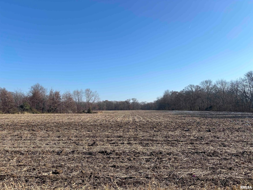 0000 N Dartmouth Ln, Mount Vernon, IL 62864 - photo 1