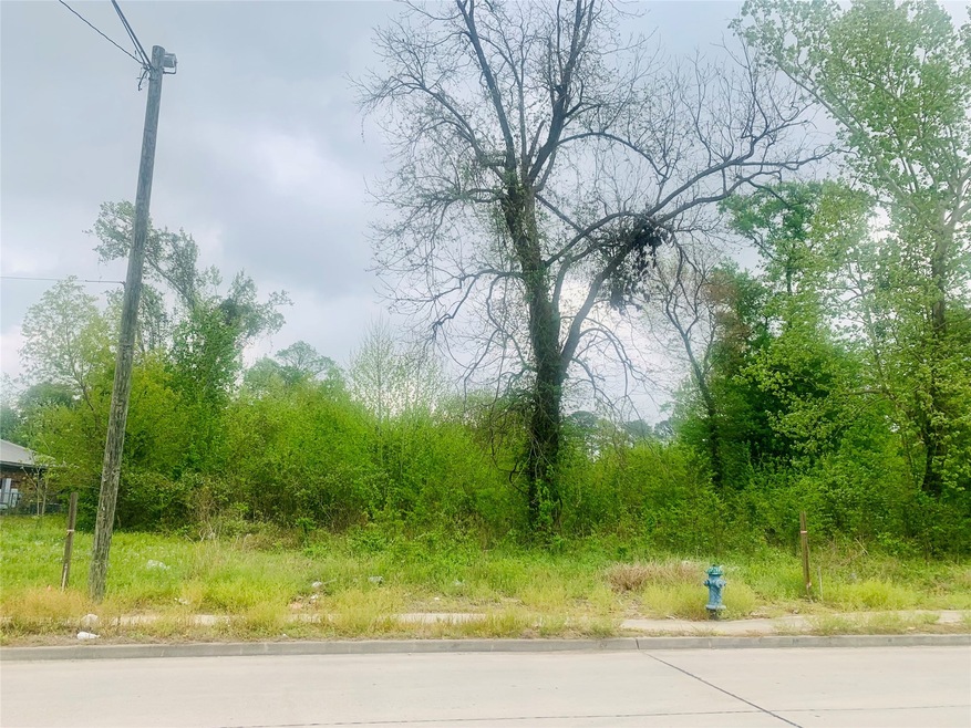 6102 Wheatley St, Houston, TX 77091 - photo 1