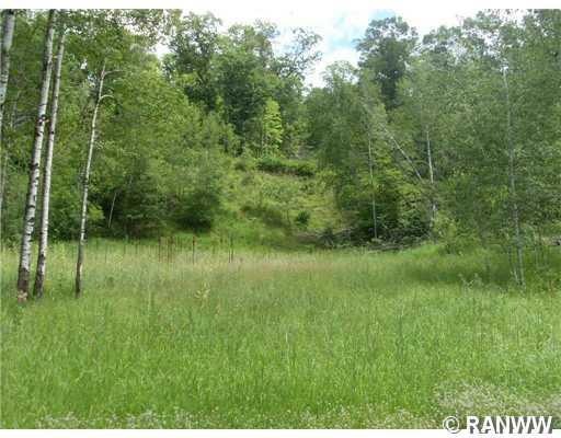 0 Bluff Lake Rd unit 879822, Webster, WI 54893 - photo 1