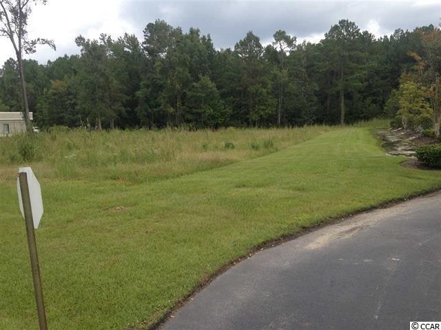 2424 Main St, Conway, SC 29526 - photo 1