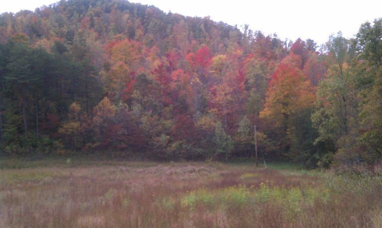 1 Bolton Hollow Rd, Somerset, KY 42501 - photo 1