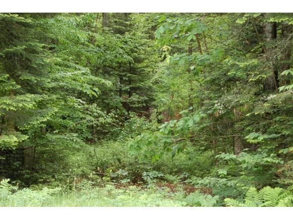 0 N Littleton Rd unit 4070539, Littleton, NH 03561 - photo 1