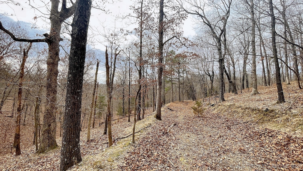 288 Crossroads Dr, Flint Creek, OK 74347 - photo 1