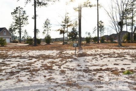 1238 Lillibridge Dr, Leland, NC 28451 - photo 1