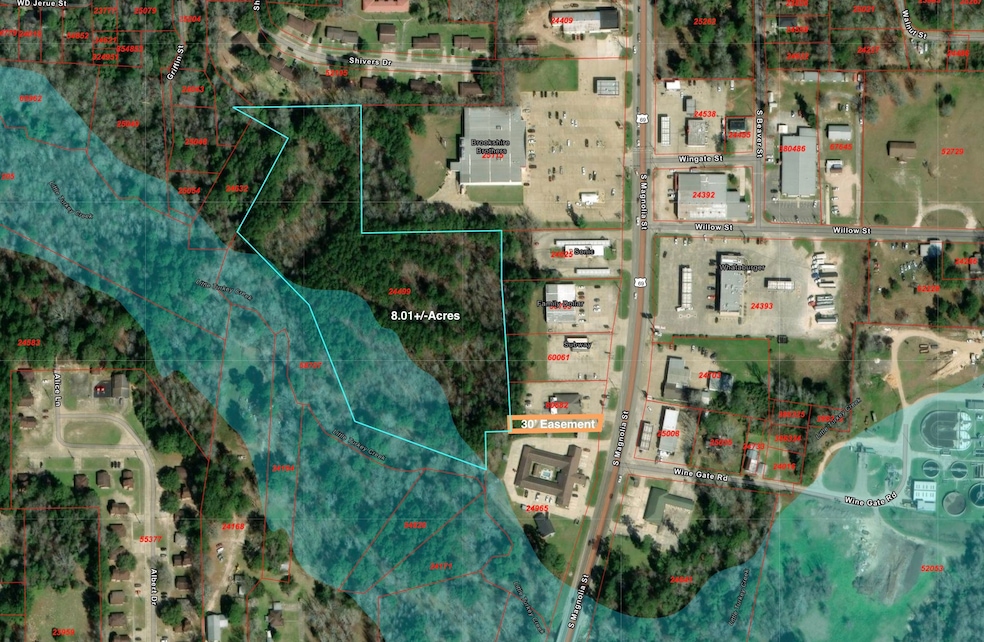 810 S Magnolia St, Woodville, TX 75979 - photo 1