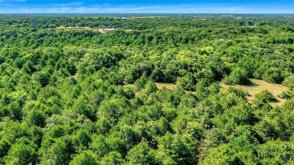 1267 County Road 107, Whitesboro, TX 76273 - photo 1