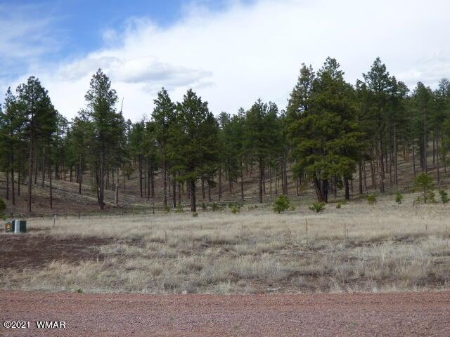 Lot 1 The Ranch at Alpine (2)